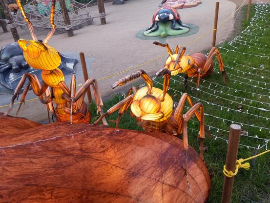 Oakland Zoo, "Glowfari", wire and fabric ant sculptures.

Climbing a tree.