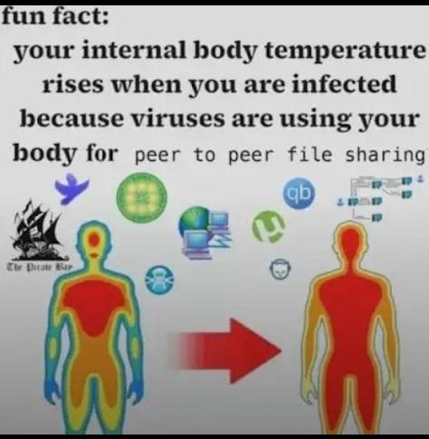 Image attached toot