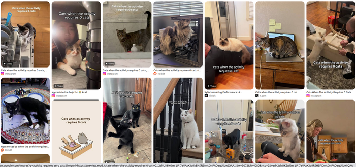 Screenshot of the google images search results for "activity requires zero cats"
