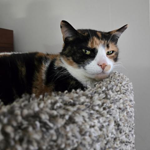 Posted media
